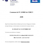 avis élagage ST ANDRE DE CORCY