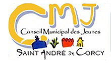 Élection du Conseil Municipal des Jeunes