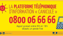 INFORMATION CANICULE