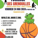 🏀 BC Dombes : tournoi des grenouilles 🐸