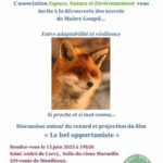 🦊 Soirée découverte du renard