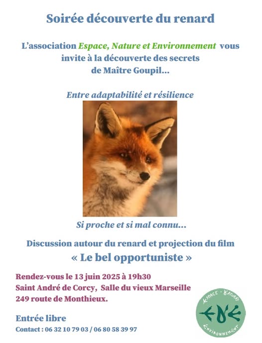 🦊 Soirée découverte du renard