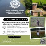 🦆 Journée mondiale des zones humides : le Plantay