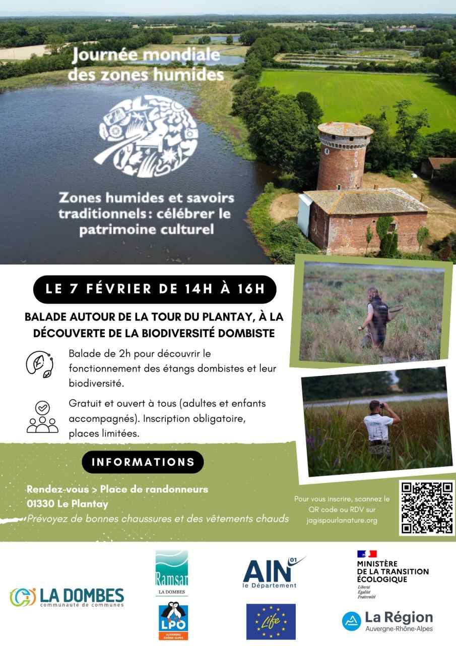 🦆 Journée mondiale des zones humides : le Plantay